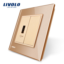 El panel de vidrio de cristal dorado de Livolo 1 toma de corriente de enchufe de Gang USB toma de corriente eléctrica VL-C791U-13